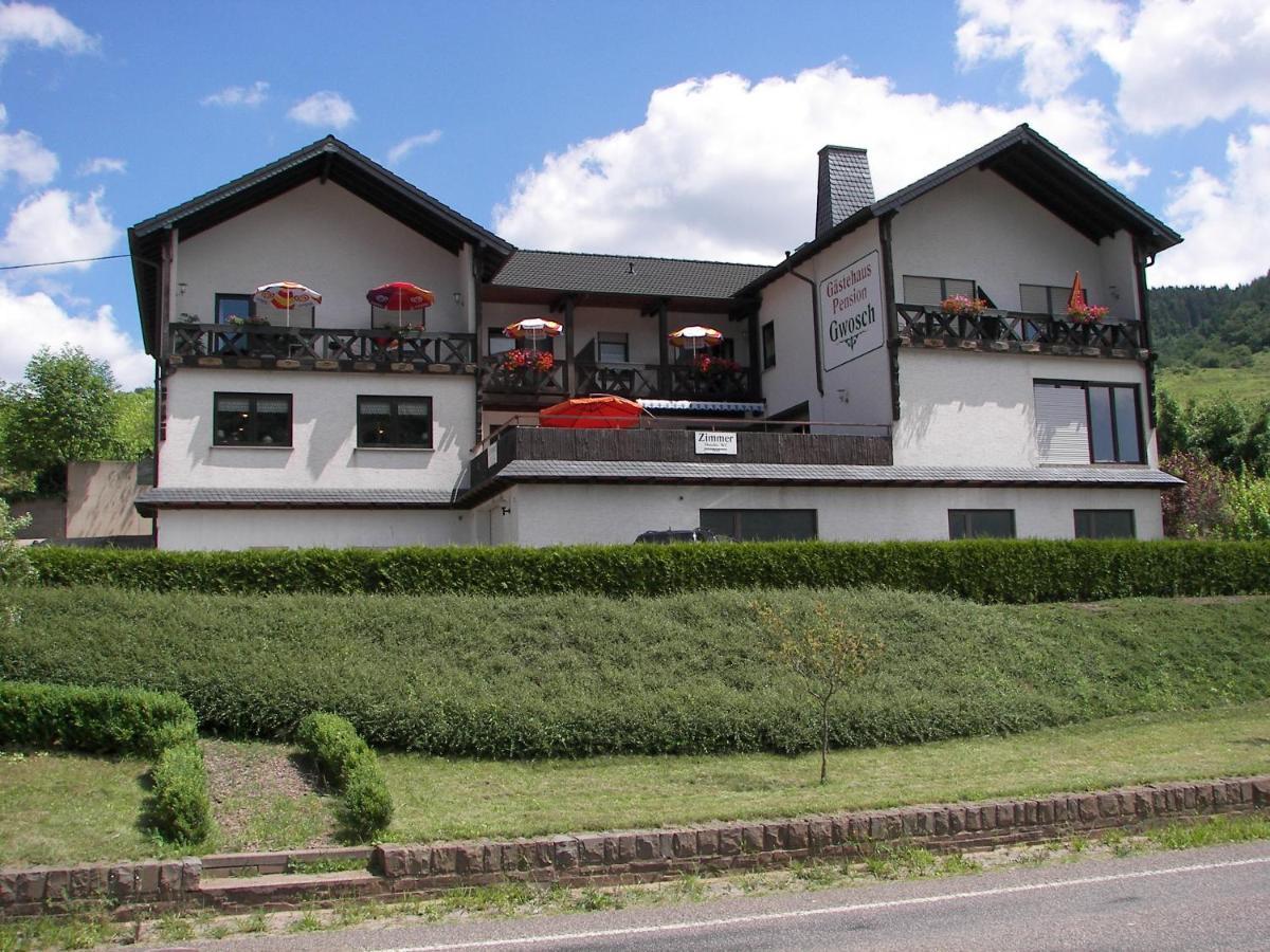 Moselpension Gwosch 布鲁蒂凡科 外观 照片
